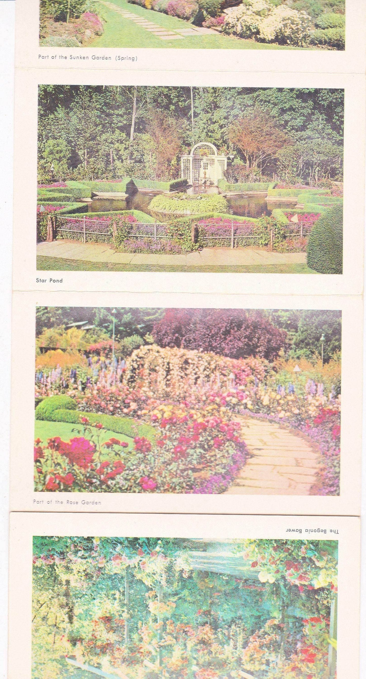 Butchart Gardens 1950's 16 View Souvenir Postcard Folder Victoria British Columbia Canada - TulipStuff
