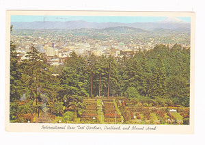 Portland Oregon International Rose Test Gardens and Mount Hood Early 1960's Postcard - TulipStuff