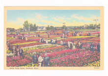 Load image into Gallery viewer, Nelis Tulip Farm Holland Michigan 1940&#39;s Linen Postcard Tulip Time - TulipStuff
