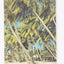 Costa Line Carla C. 1973-74 Caribbean Cruises Cruise Ship Brochure - TulipStuff