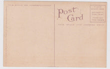 Load image into Gallery viewer, I&#39;m Sending You A Lemon Humor 1910 Antique Postcard - TulipStuff
