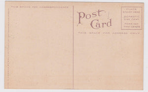 I'm Sending You A Lemon Humor 1910 Antique Postcard - TulipStuff