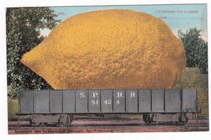 I'm Sending You A Lemon Humor 1910 Antique Postcard - TulipStuff