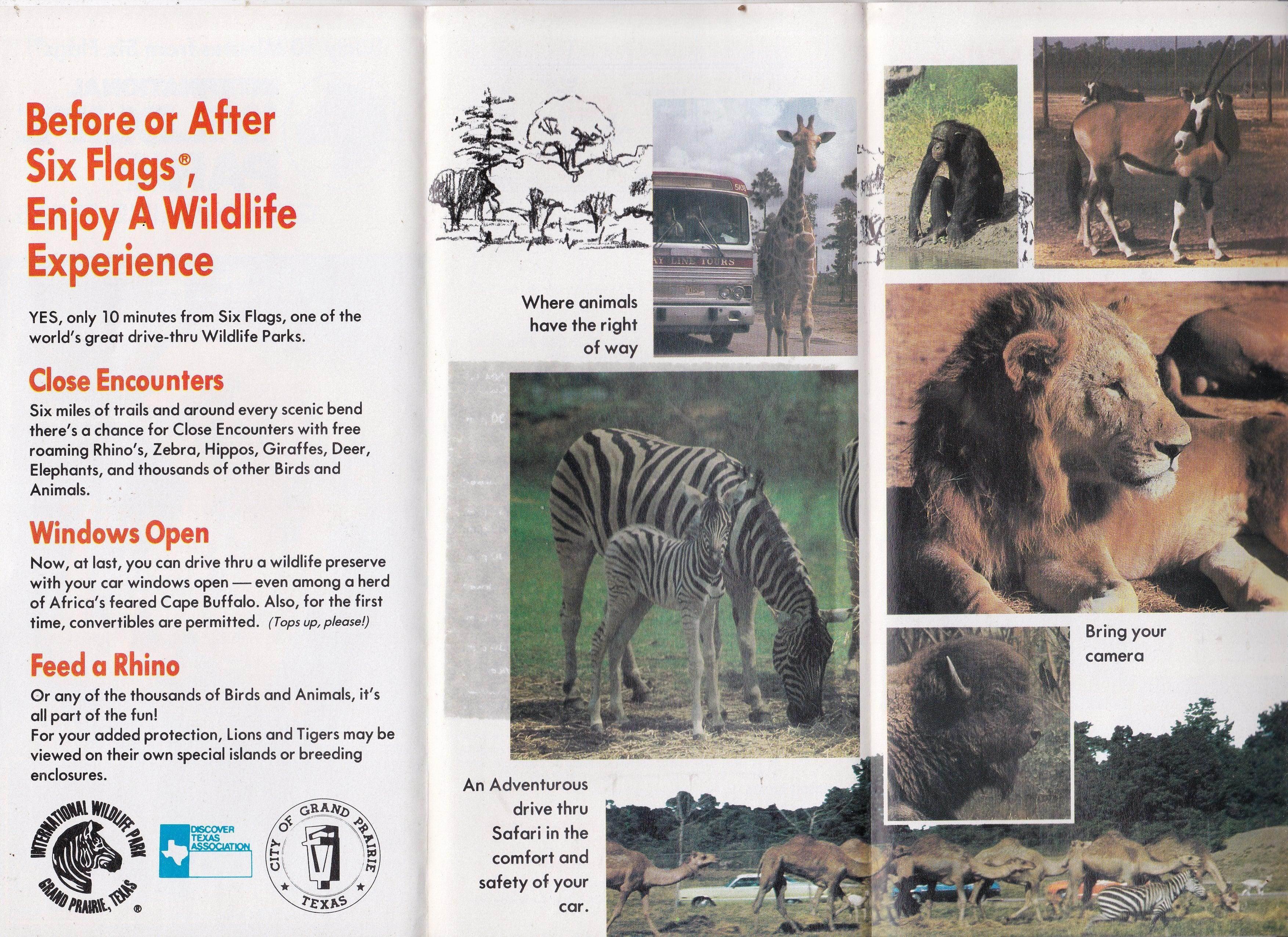 International Wildlife Park Grand Prairie Texas 1982 Brochure