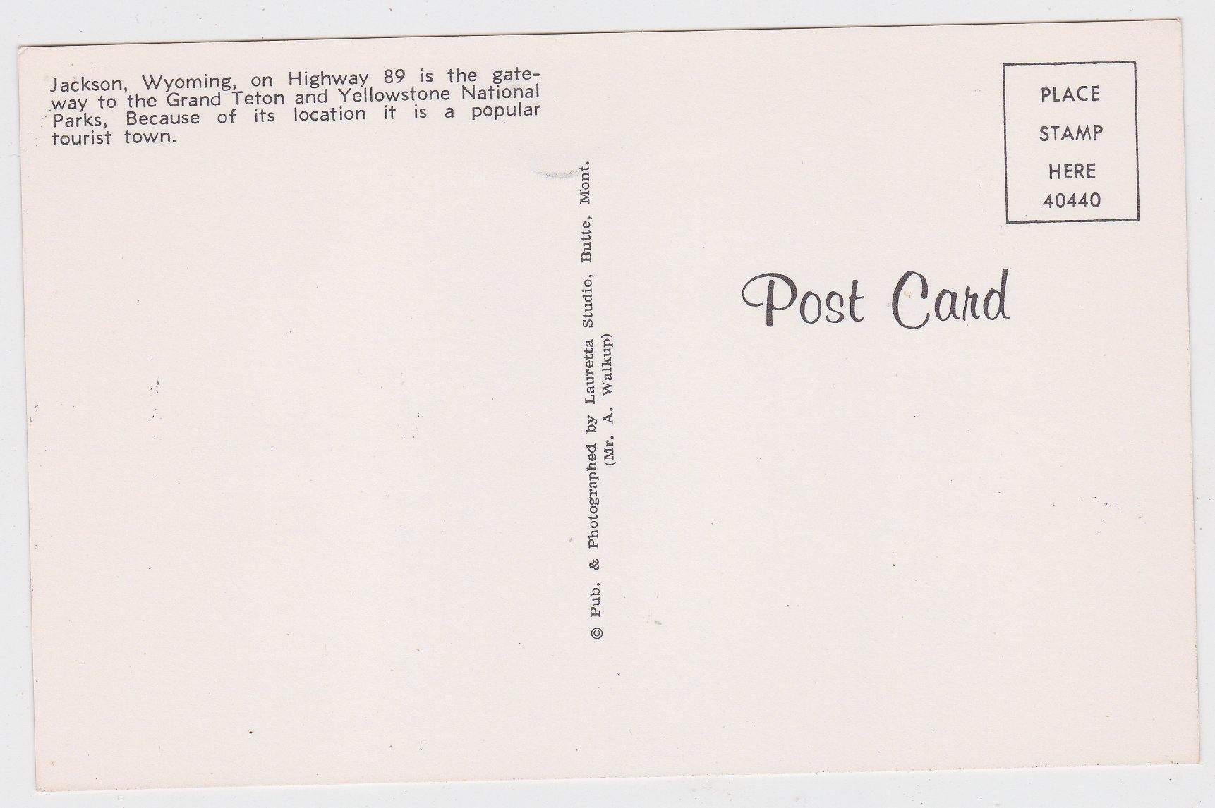 Jackson Wyoming Highway 89 Street Scene 1950's Postcard - TulipStuff