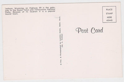 Jackson Wyoming Highway 89 Street Scene 1950's Postcard - TulipStuff