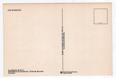 Joe Morgan Cincinnati Reds Hall of Famer Late 1970's Baseball Postcard - TulipStuff