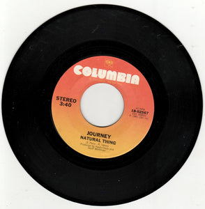 Journey Don't Stop Believin' 7" Vinyl Record Columbia 18-02567 1981 - TulipStuff