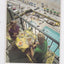 The Landmark Resort Hotel Myrtle Beach SC Early 1980's Brochure - TulipStuff