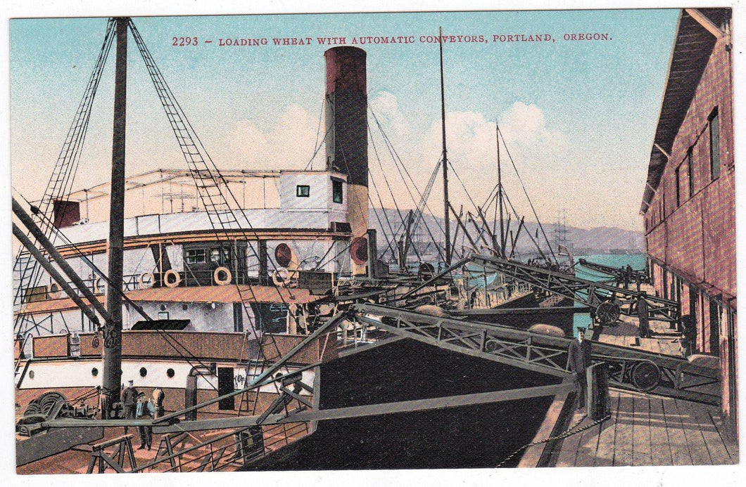 Loading Wheat Onto A Ship With Conveyors Portland Oregon 1910's - TulipStuff