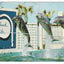 Marineland of Florida School For Educated Porpoises And Whales 1972 - TulipStuff