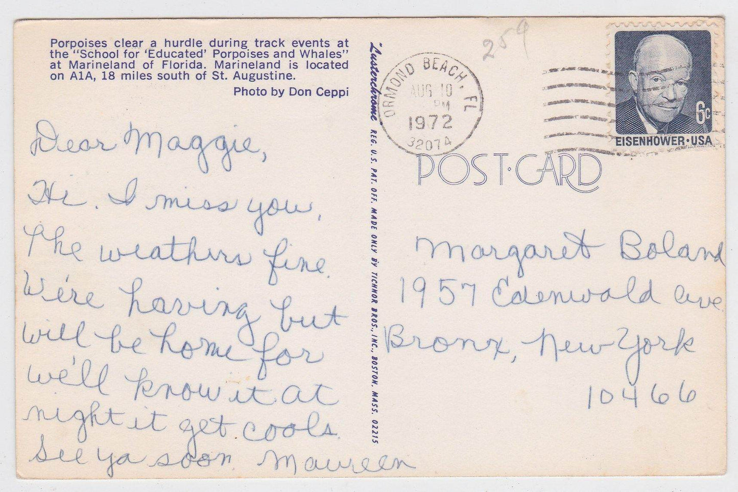 Marineland of Florida School For Educated Porpoises And Whales 1972 - TulipStuff