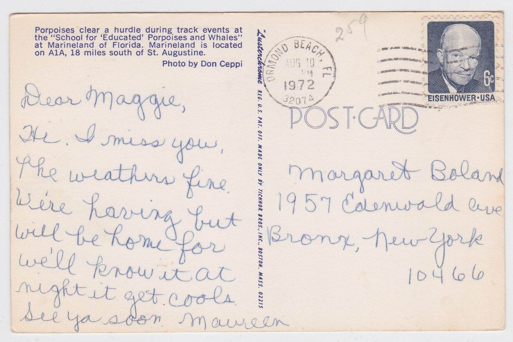 Marineland of Florida School For Educated Porpoises And Whales 1972 - TulipStuff