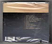 Load image into Gallery viewer, McBride &amp; The Ride Amarillo Sky Country Rock Album CD 2002 - TulipStuff
