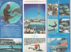 Fort Lauderdale Ocean World Porpoise Show Oceanarium 1977 Brochure - TulipStuff
