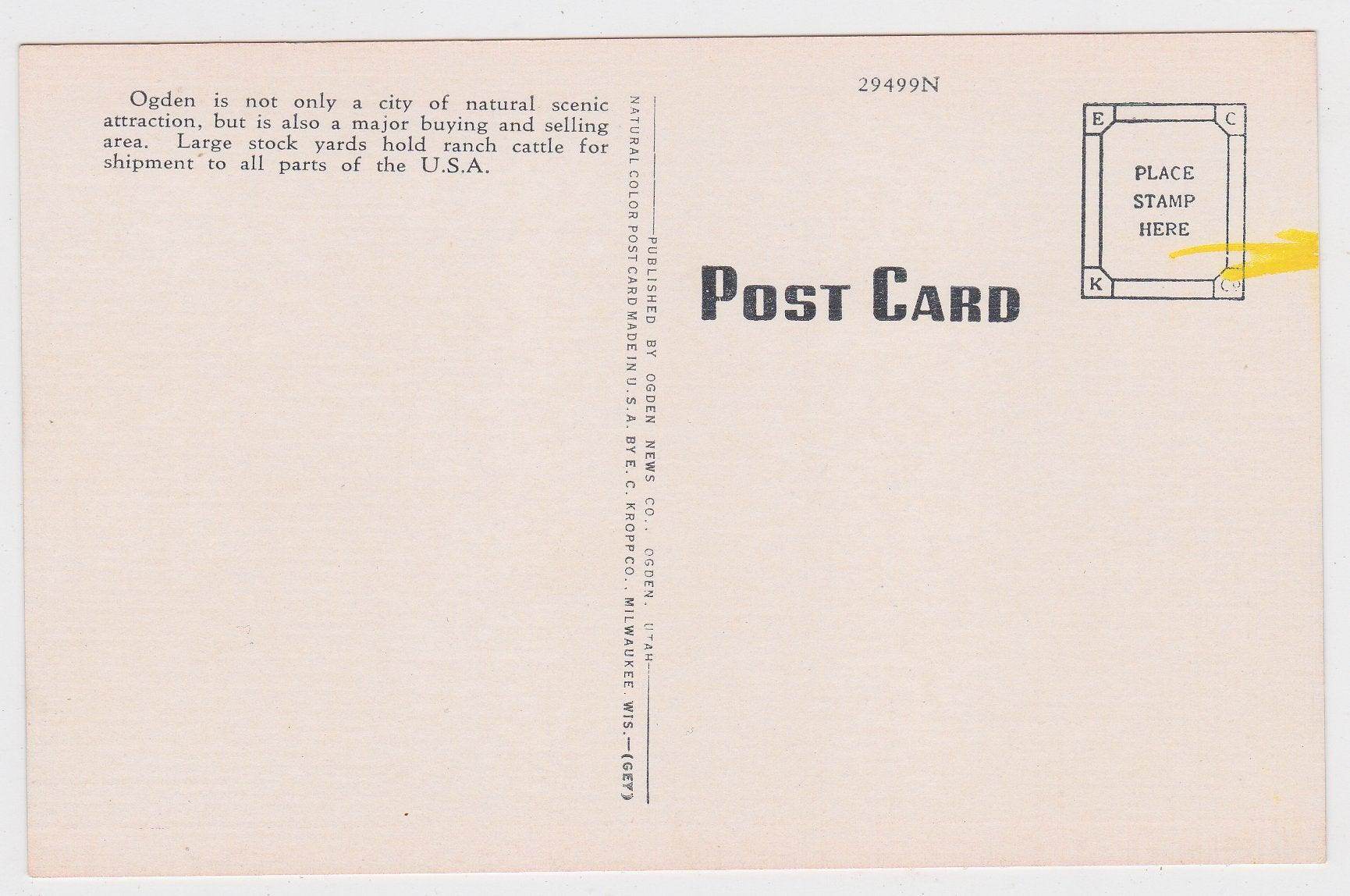 Ranch Cattle Stock Yards Ogden Utah 1940's Linen Postcard - TulipStuff