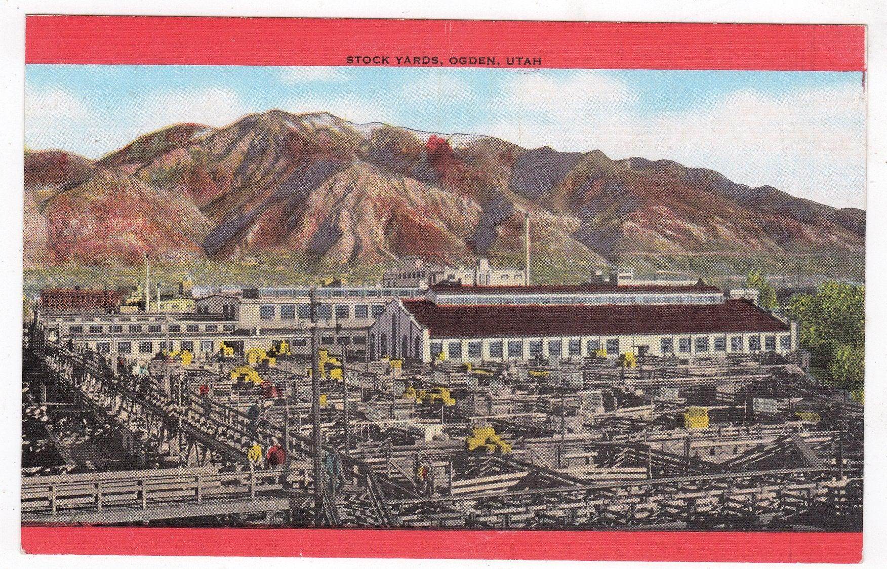 Ranch Cattle Stock Yards Ogden Utah 1940's Linen Postcard - TulipStuff