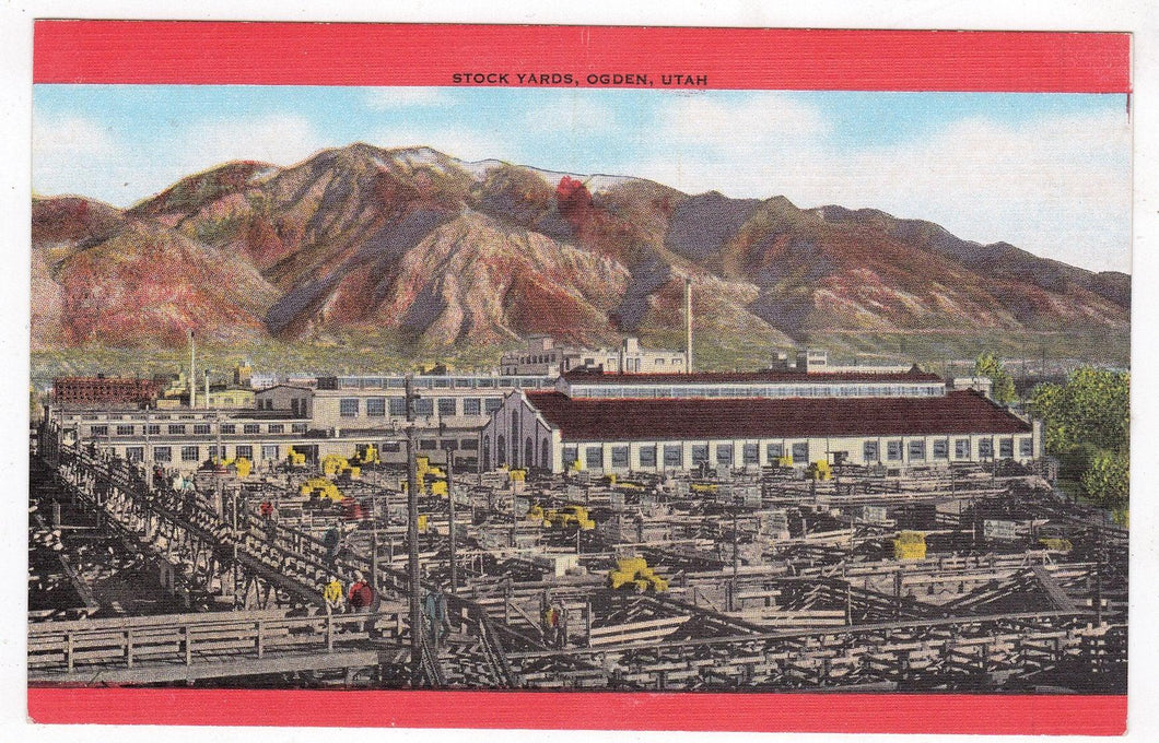 Ranch Cattle Stock Yards Ogden Utah 1940's Linen Postcard - TulipStuff