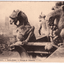 Paris Notre-Dame Group de Chimeres Gargoyles France 1913 - TulipStuff