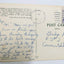Parrots At Parrot Jungle Pinecrest Miami Florida 1979 Postcard - TulipStuff