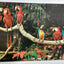 Parrots At Parrot Jungle Pinecrest Miami Florida 1979 Postcard - TulipStuff