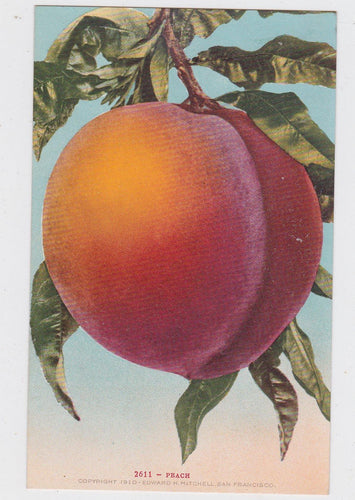 Peach 1910 Antique Postcard Published by Edward Mitchell - TulipStuff
