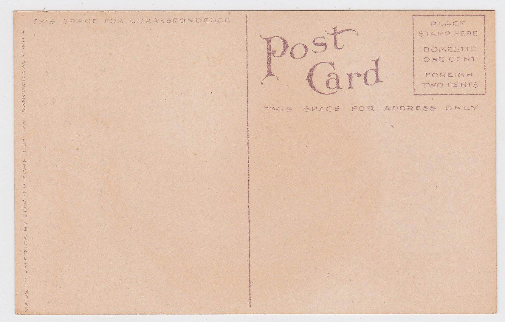 Peach 1910 Antique Postcard Published by Edward Mitchell - TulipStuff