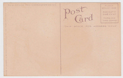Peach 1910 Antique Postcard Published by Edward Mitchell - TulipStuff