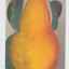 Bartlett Pear 1910 Antique Postcard Published by Edward Mitchell - TulipStuff
