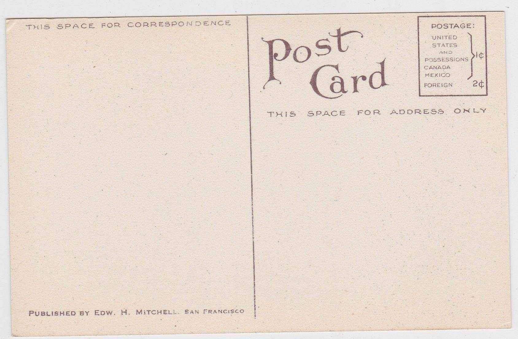 Bartlett Pear 1910 Antique Postcard Published by Edward Mitchell - TulipStuff