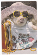 Load image into Gallery viewer, Always A Lady Pig In Sunglasses Humor Postcard George Dudley 1981 - TulipStuff

