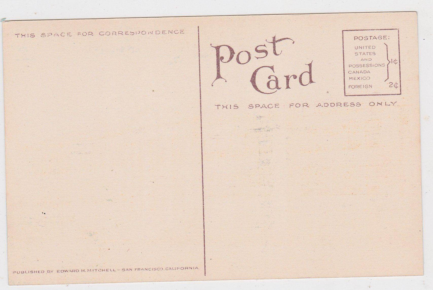 Primary School Watsonville California 1910's Postcard - TulipStuff