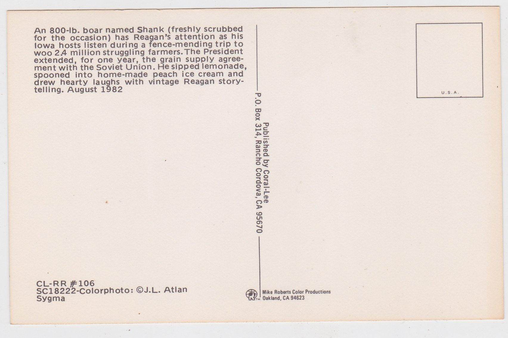 President Ronald Reagan And An 800 LB Boar Named Shank - TulipStuff