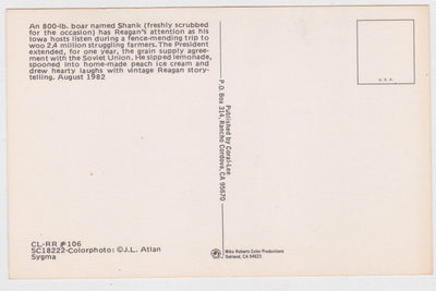 President Ronald Reagan And An 800 LB Boar Named Shank - TulipStuff