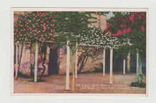 Load image into Gallery viewer, Oldest Rose Tree In California San Gabriel Mission 1920&#39;s Postcard - TulipStuff
