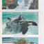 Sea World Orlando Florida 12 View Souvenir Postcard Folder 1974 - TulipStuff