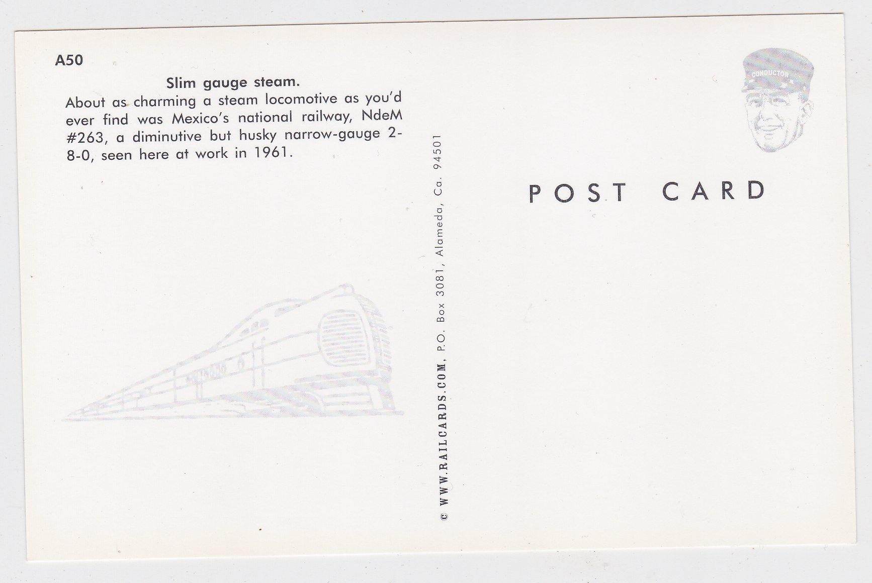 National Railways of Mexico Narrow Gauge 2-8-0 Steam Locomotive - TulipStuff