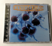 Load image into Gallery viewer, Smackmelon S/T Boston Alternative Rock EP CD CherryDisc 1994 - TulipStuff
