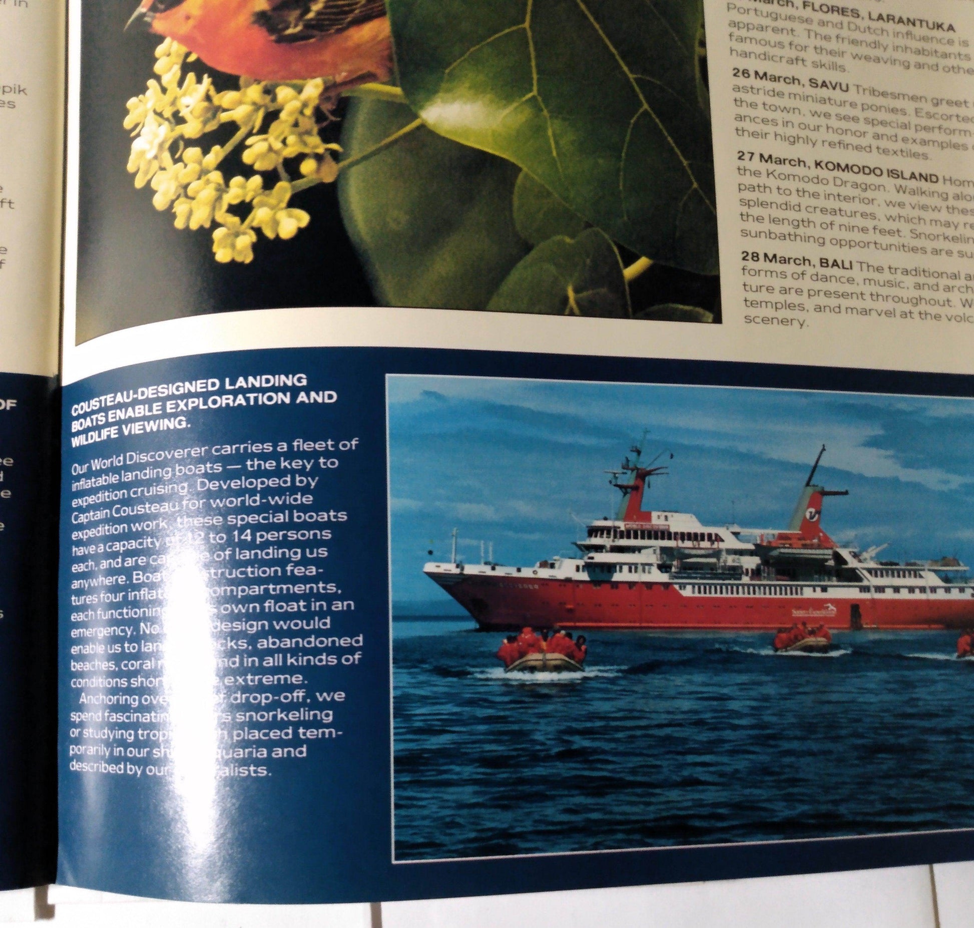 Society Expeditions ms World Discoverer 1983 World Cruise Brochure - TulipStuff