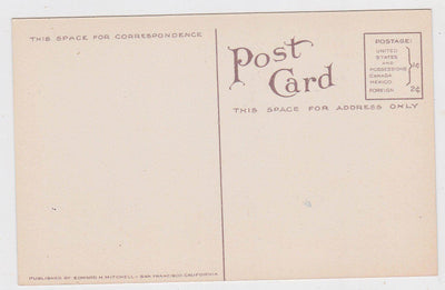 St Joseph's Hospital Bellingham Washington 1910's Postcard - TulipStuff