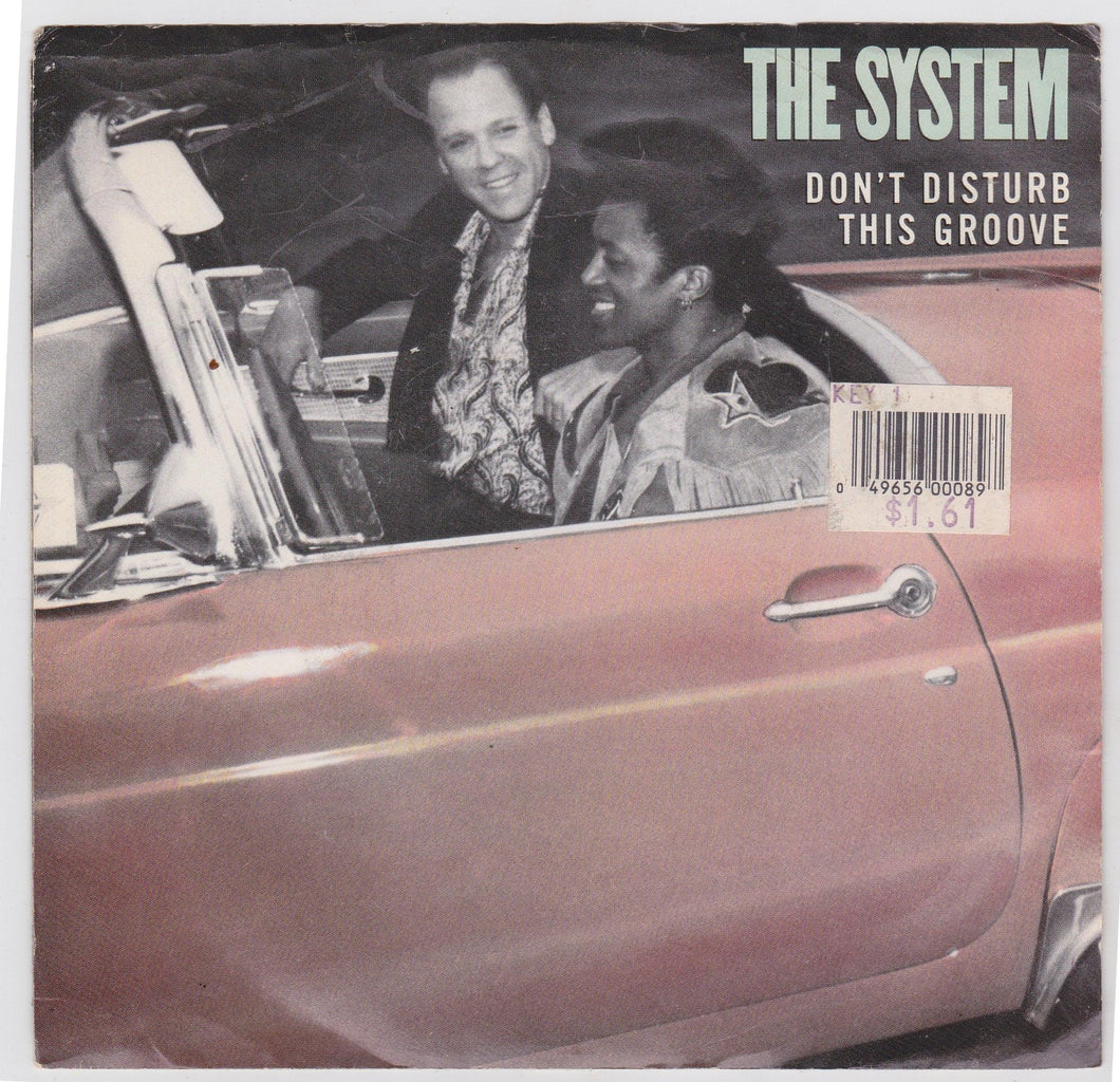The System Don't Disturb This Groove 7