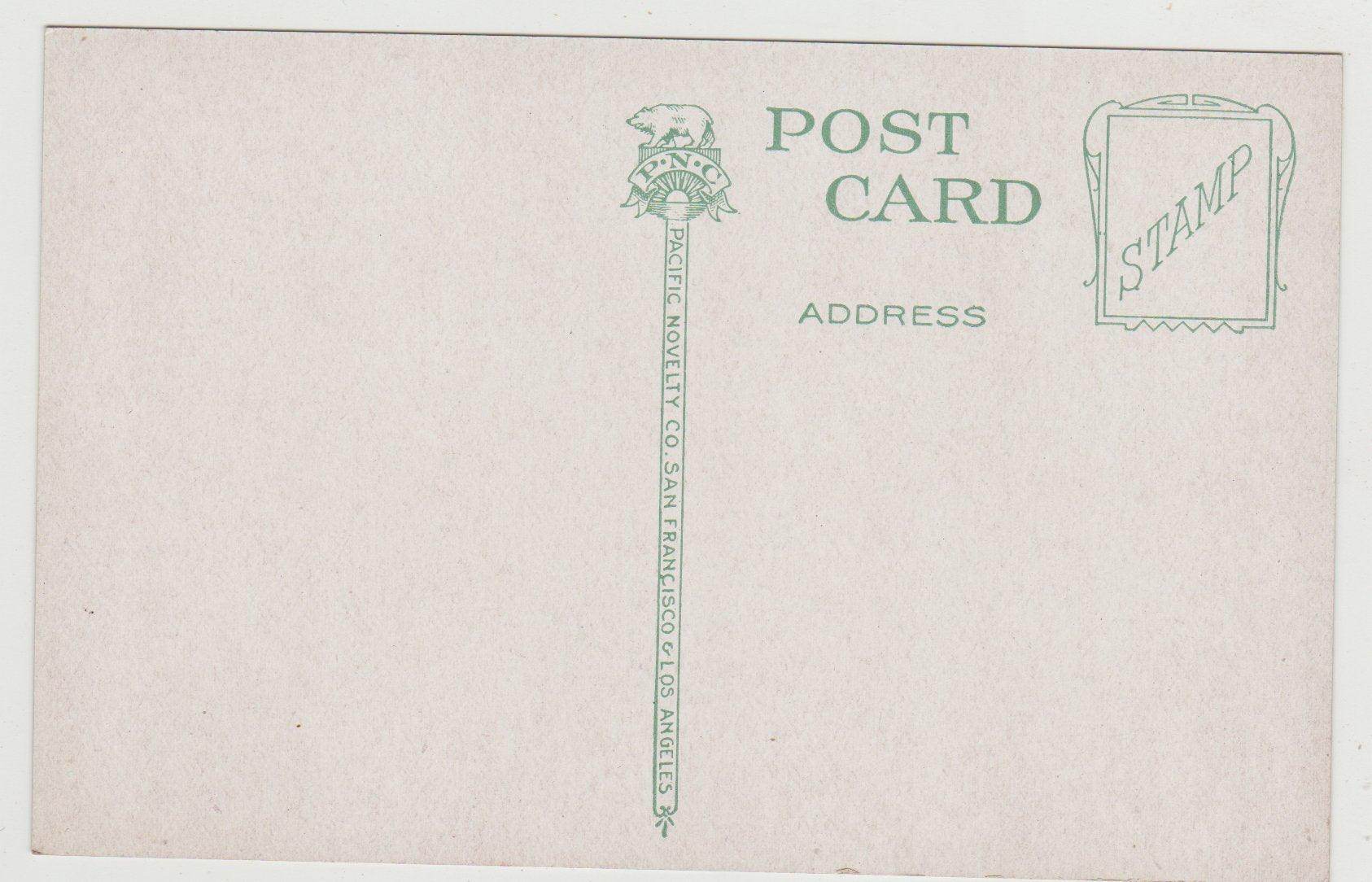 Tacoma Washington Gateway To Rainier National Park 1910's Postcard - TulipStuff