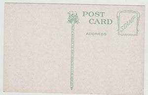 Tacoma Washington Gateway To Rainier National Park 1910's Postcard - TulipStuff