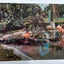 Tropical Florida Flamingos Miami Rare Bird Farm 1950's Postcard - TulipStuff