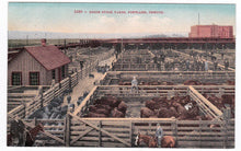 Load image into Gallery viewer, Union Stock Yards Portland Oregon 1910&#39;s Postcard - TulipStuff

