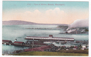 View of Harbor and Docks Everett Washington 1910 - TulipStuff