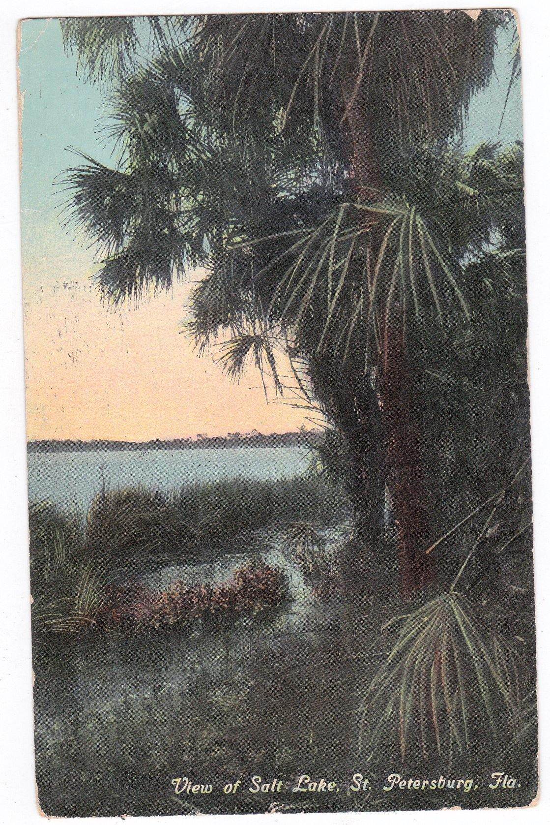 View of Salt Lake St Petersburg Florida 1911 Antique Postcard - TulipStuff