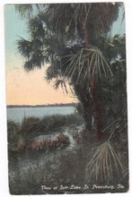 Load image into Gallery viewer, View of Salt Lake St Petersburg Florida 1911 Antique Postcard - TulipStuff
