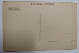 Tenerife Canary Islands Women With Flower Baskets Postcard 1961 - TulipStuff