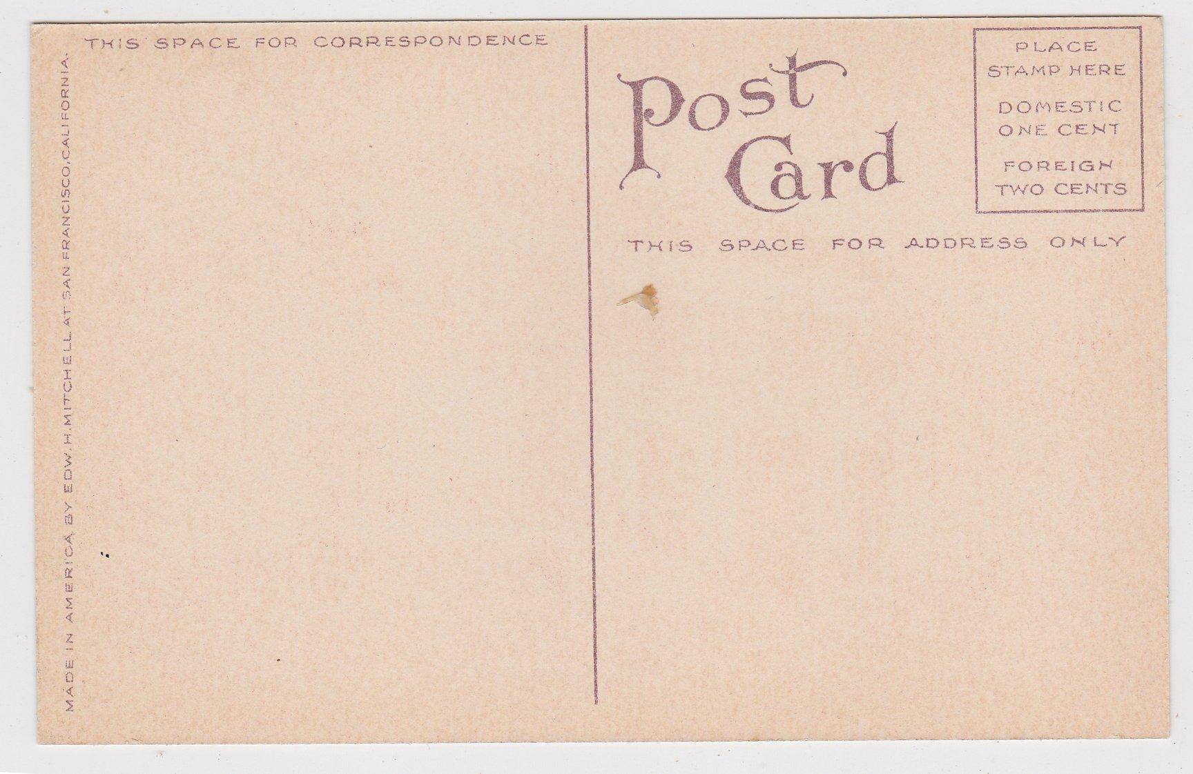 Washington Grammar School Petaluma California 1910's Postcard - TulipStuff